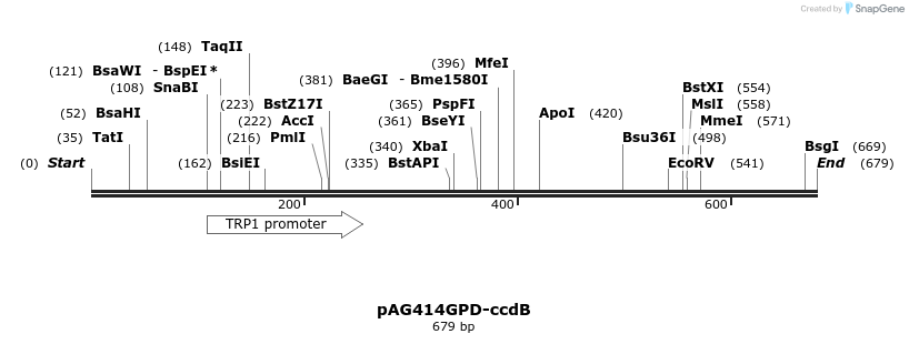 20397_map