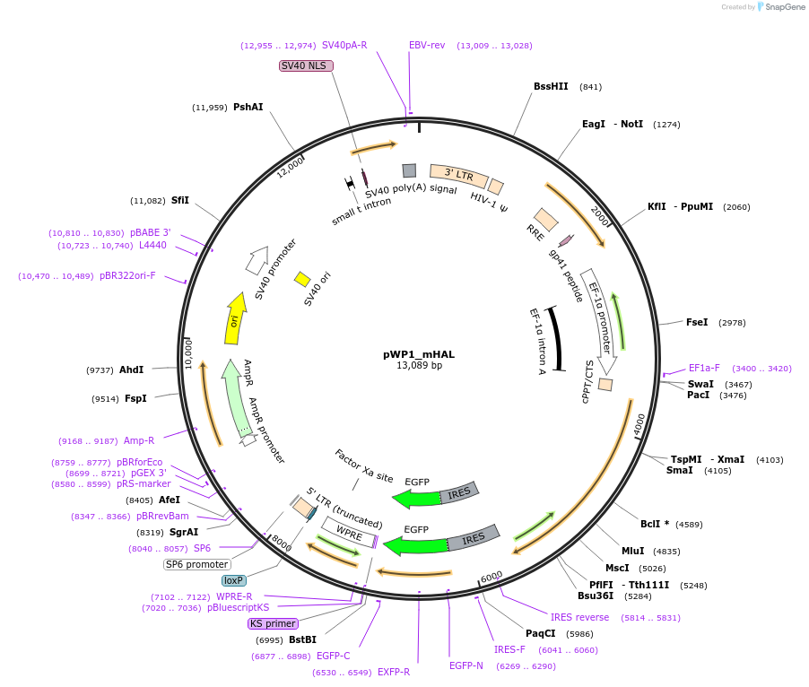 203995_map