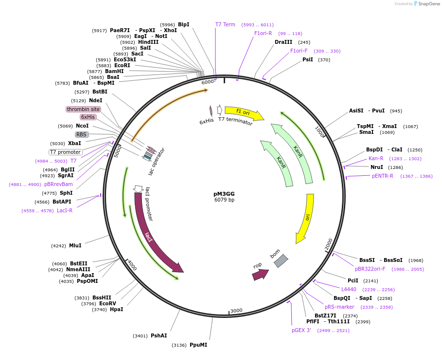 204029_map