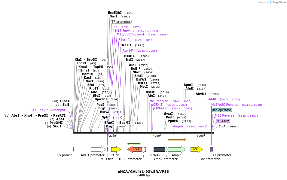 204032_map