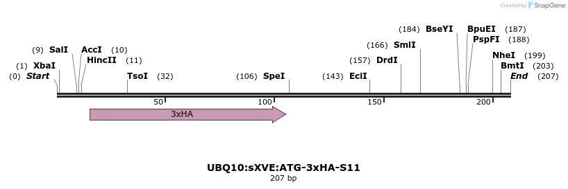 204059_map