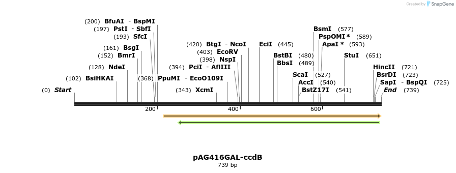 20406_map