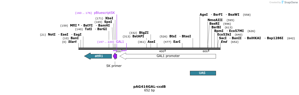 20407_map