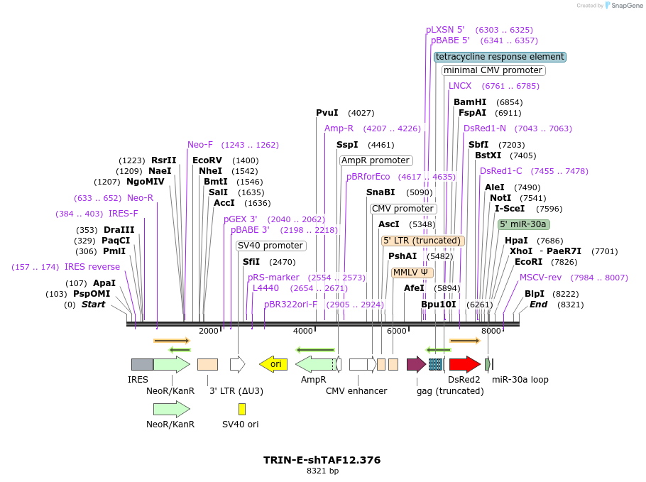 204092_map