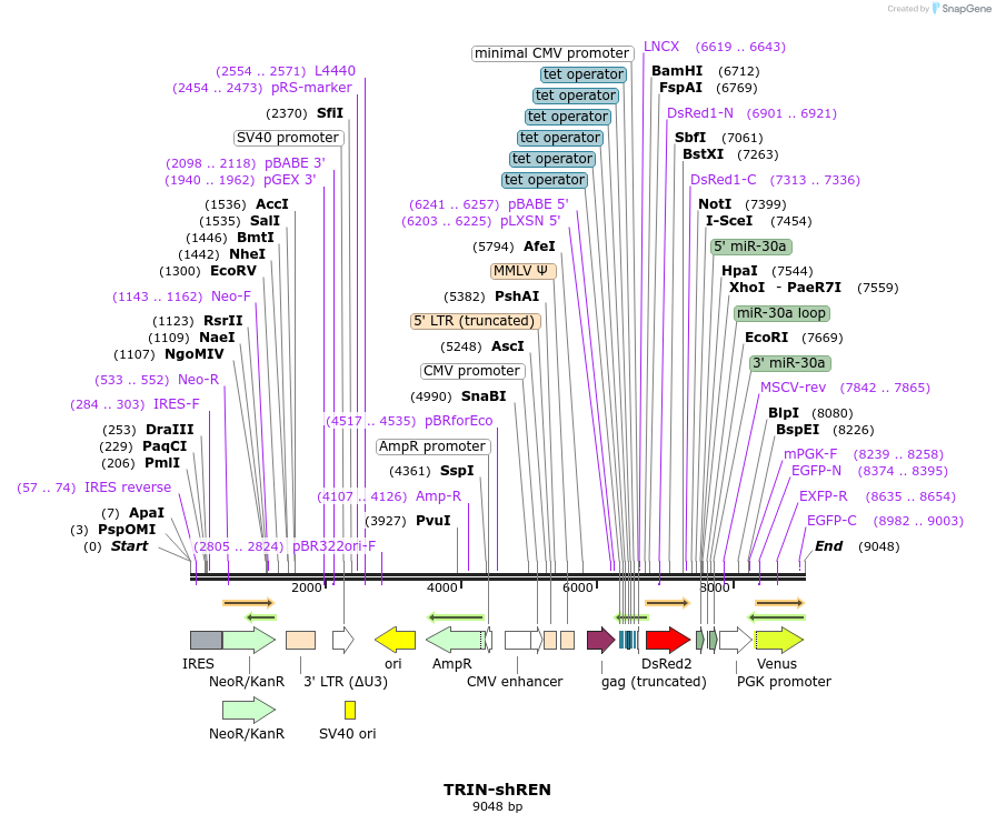 204094_map