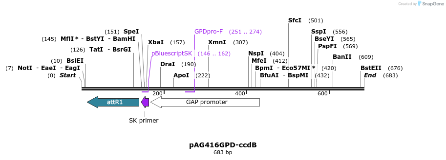 20410_map