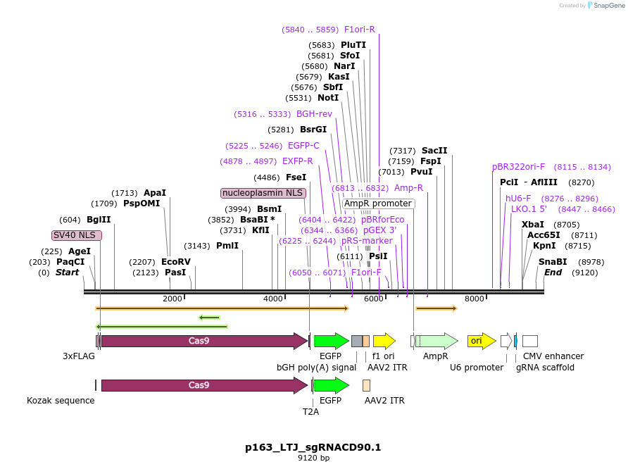 204106_map