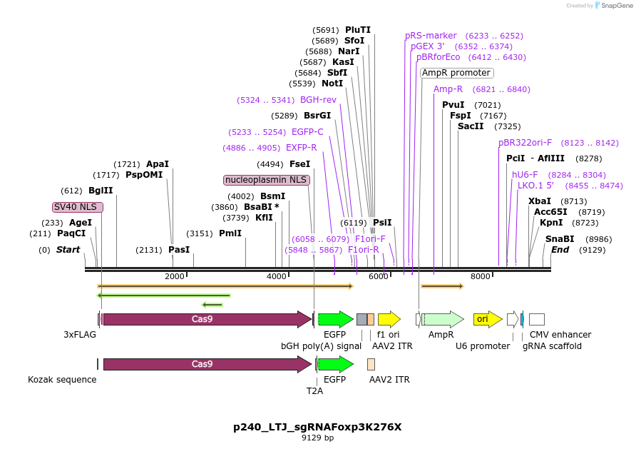 204109_map