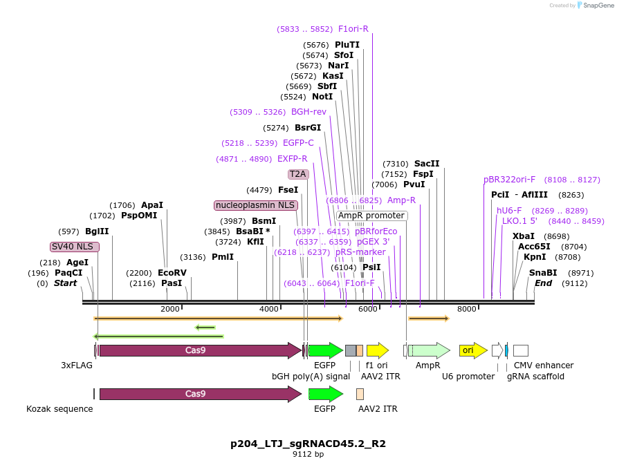 204115_map