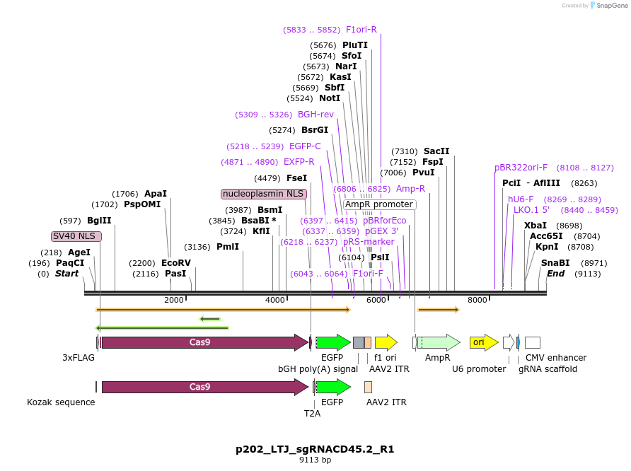 204119_map