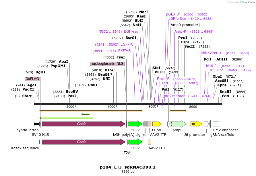 204120_map