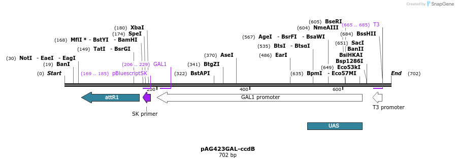 20413_map
