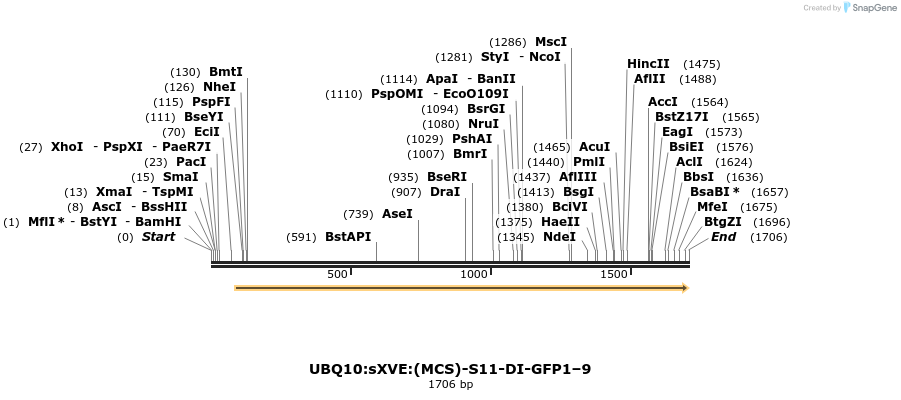 204144_map