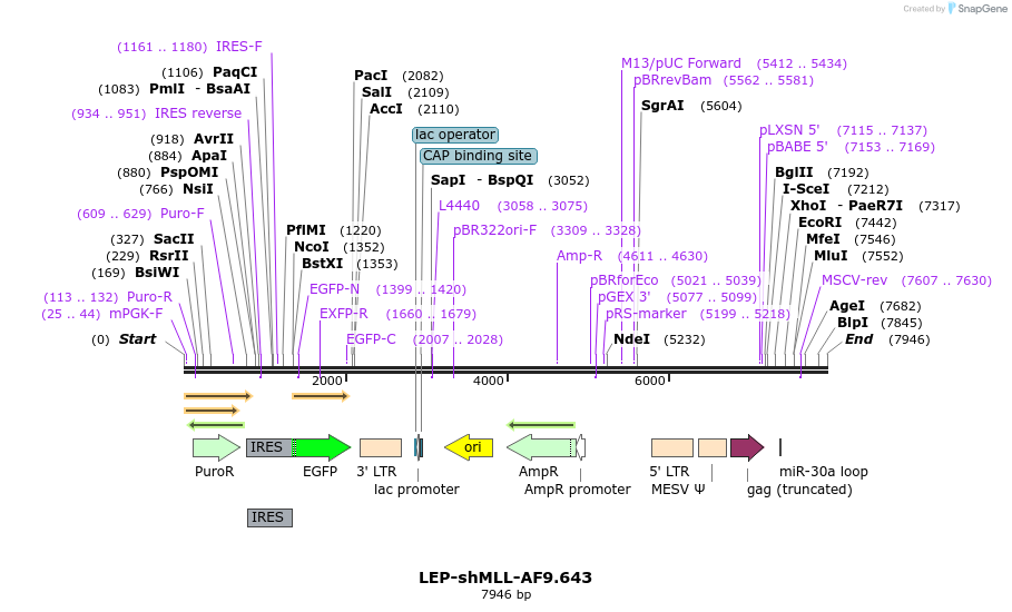 204154_map