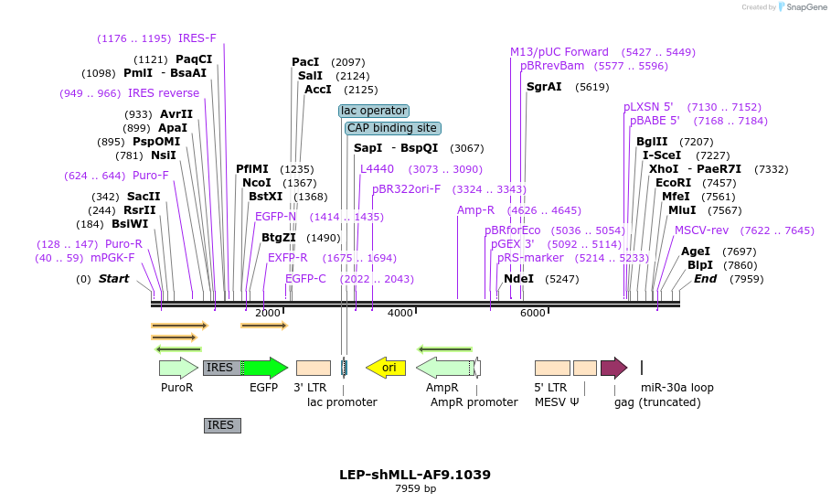 204157_map