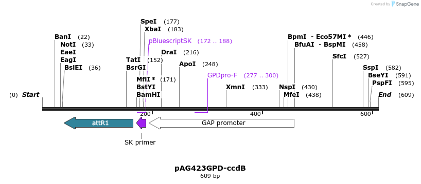 20416_map