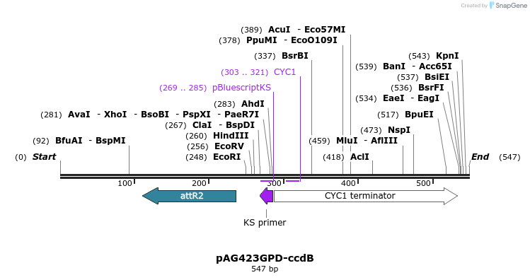 20417_map
