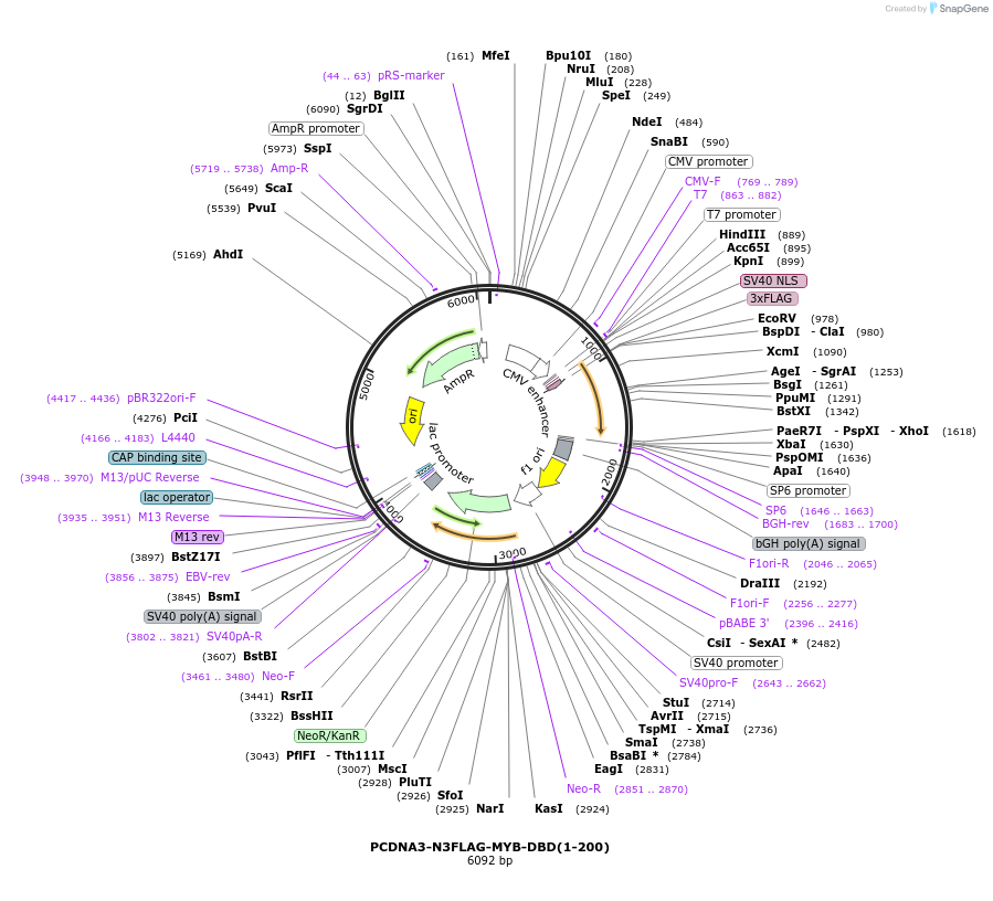 204170_map