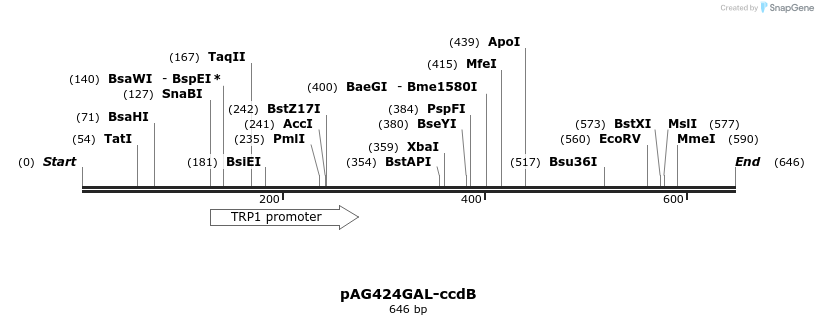 20419_map
