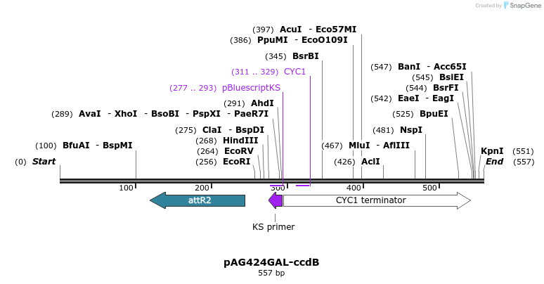 20420_map