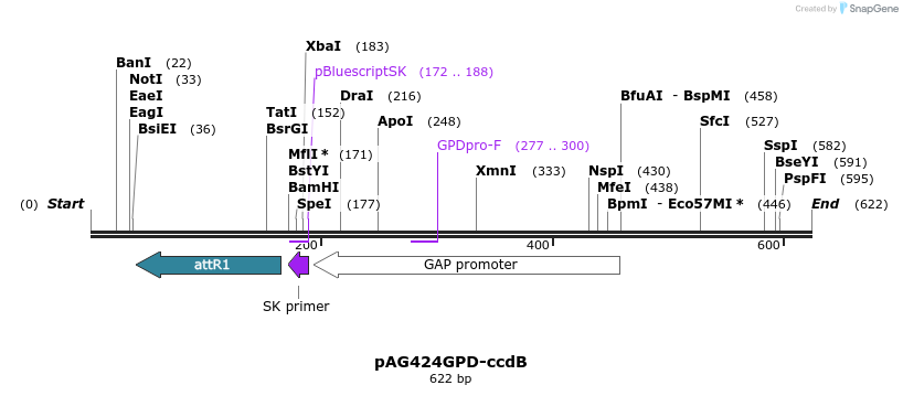 20422_map