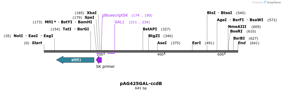 20425_map
