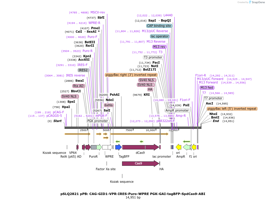 204284_map