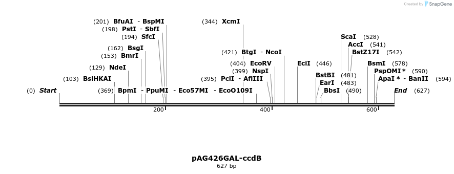 20430_map