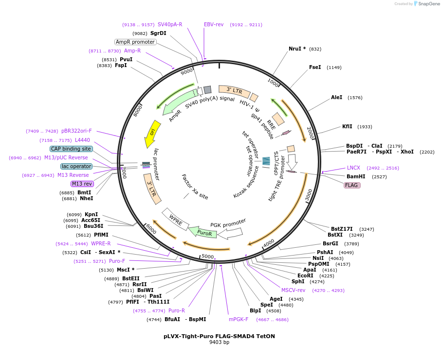 204301_map