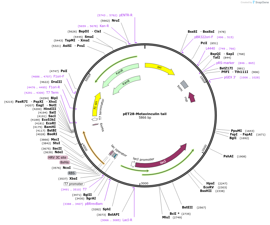 204302_map