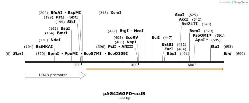 20433_map