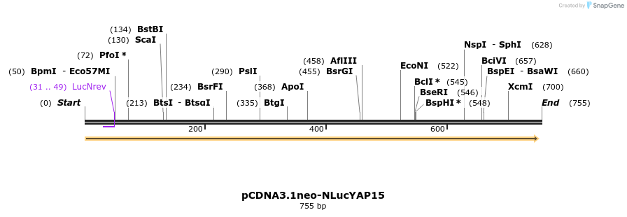 204331_map