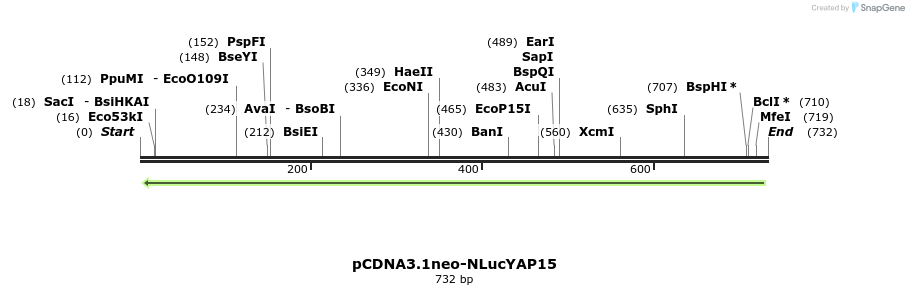 204332_map