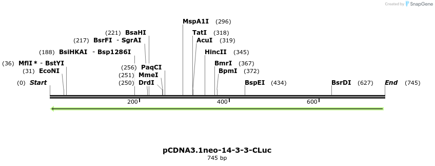 204334_map