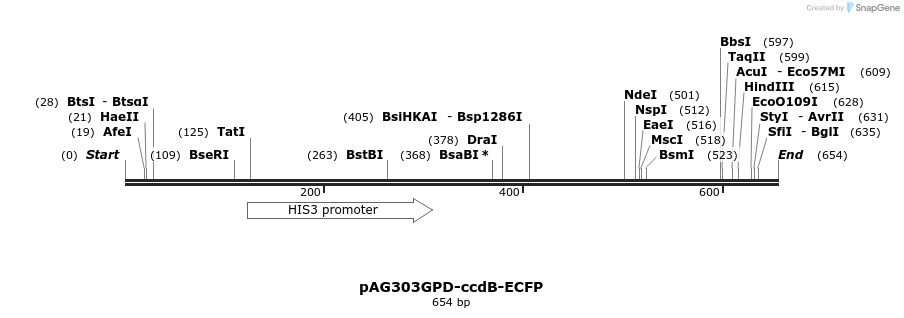 20439_map