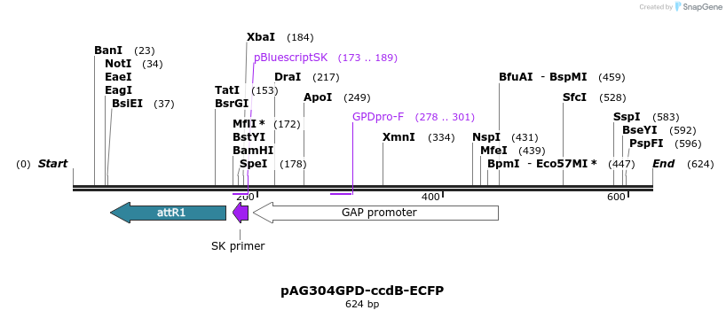 20446_map