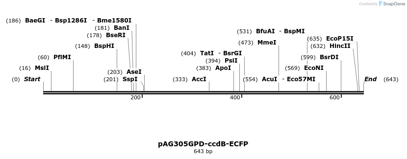 20451_map