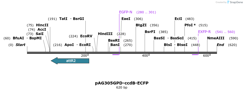20453_map