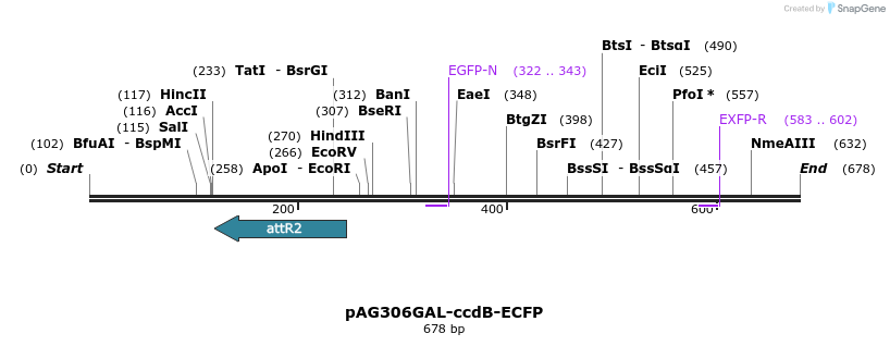 20456_map