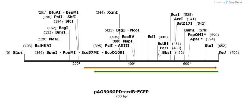 20457_map
