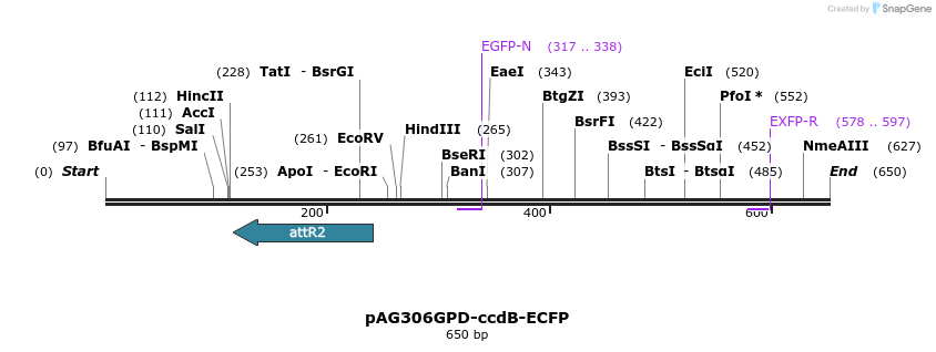 20459_map
