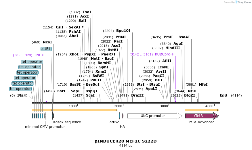 204618_map