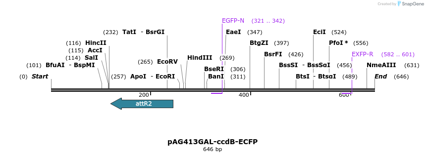 20462_map