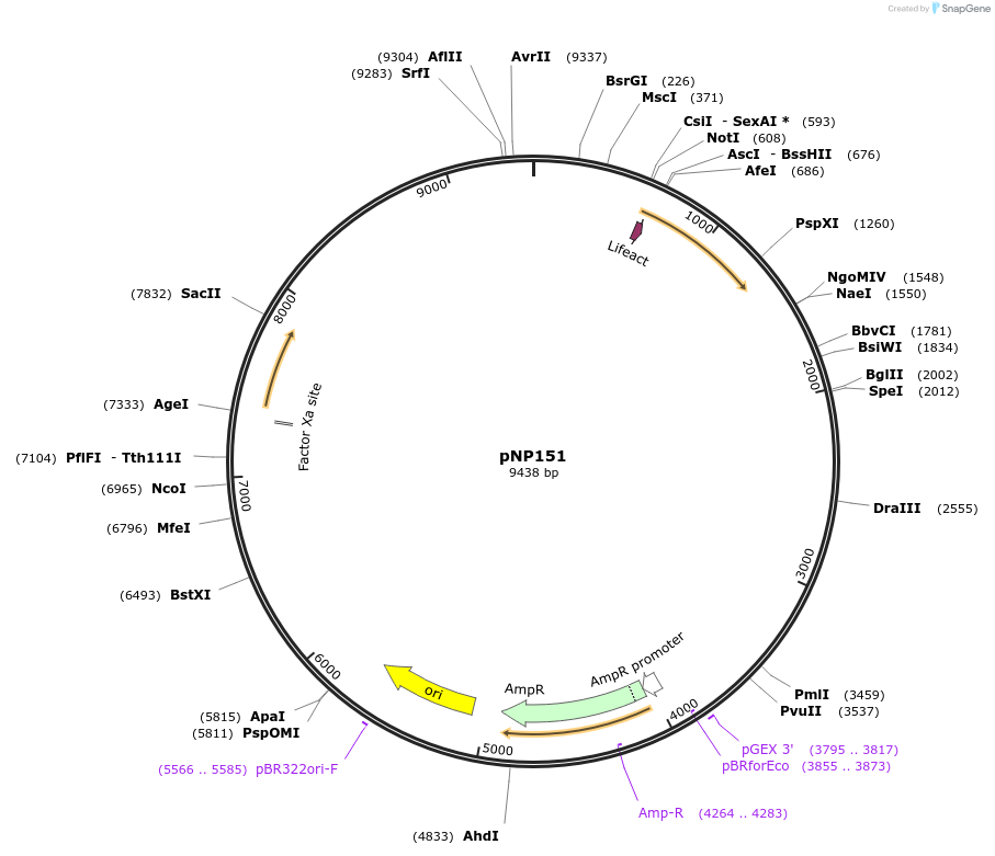 204633_map