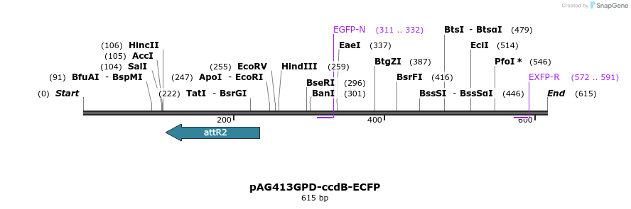 20465_map
