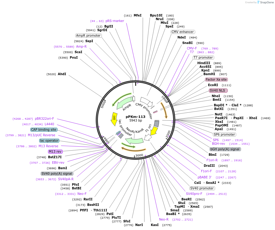 204655_map