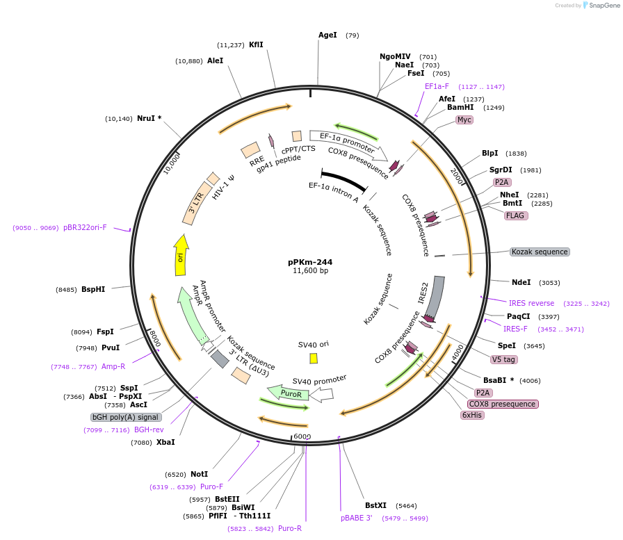 204676_map
