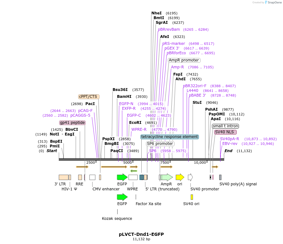 204680_map