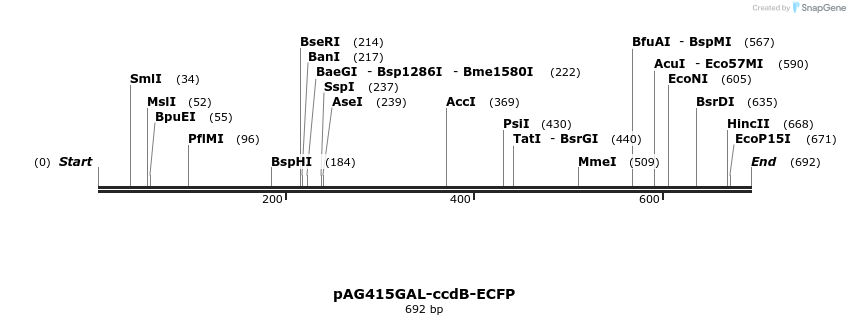 20472_map