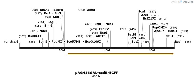 20478_map
